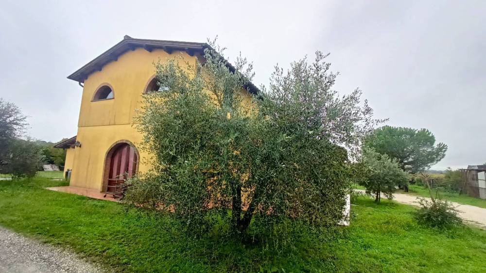 immagine annuncio 4 di 13