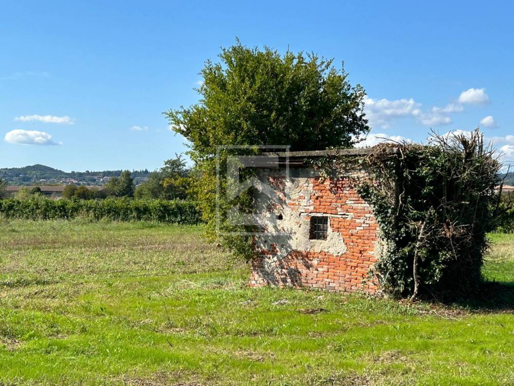 immagine annuncio 3 di 4