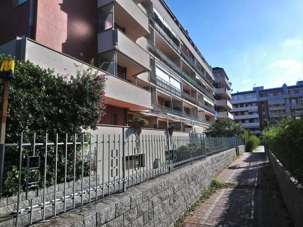 immagine annuncio 13 di 14