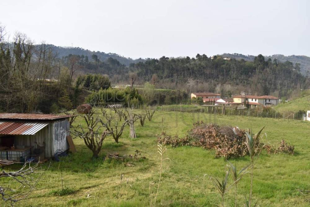 immagine annuncio 6 di 11
