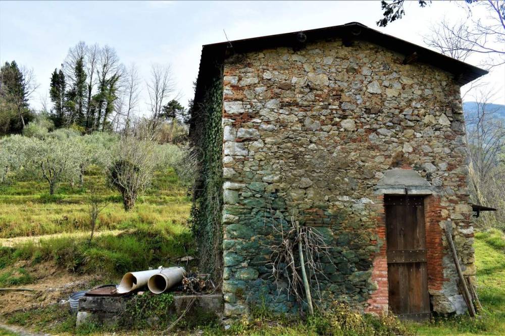 immagine annuncio 4 di 11