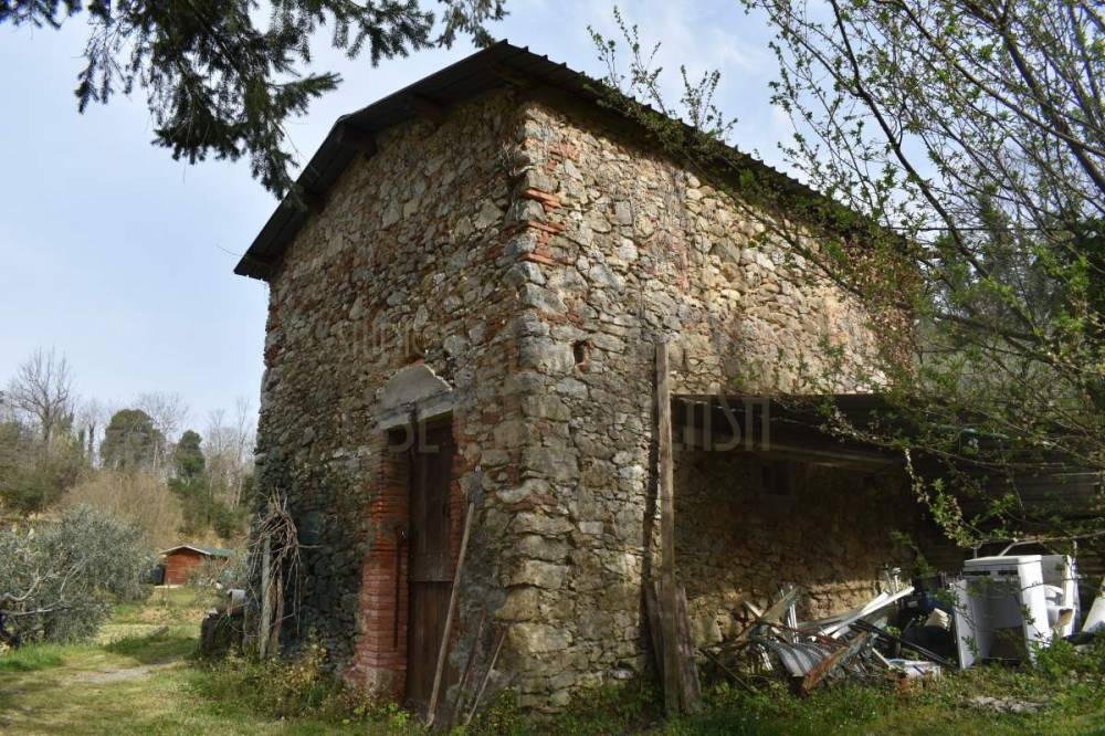 immagine annuncio 9 di 11