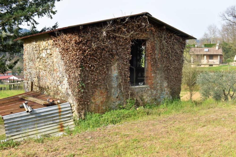 immagine annuncio 2 di 11