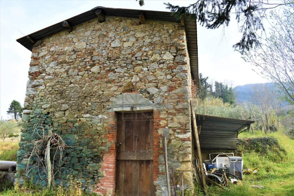 immagine annuncio 5 di 11