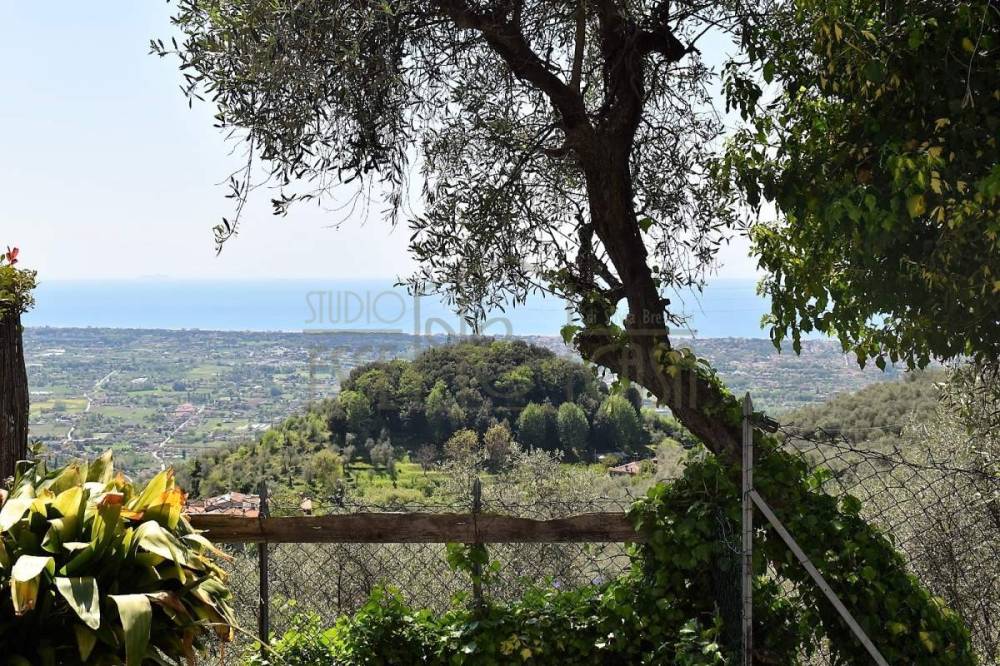 immagine annuncio 10 di 13