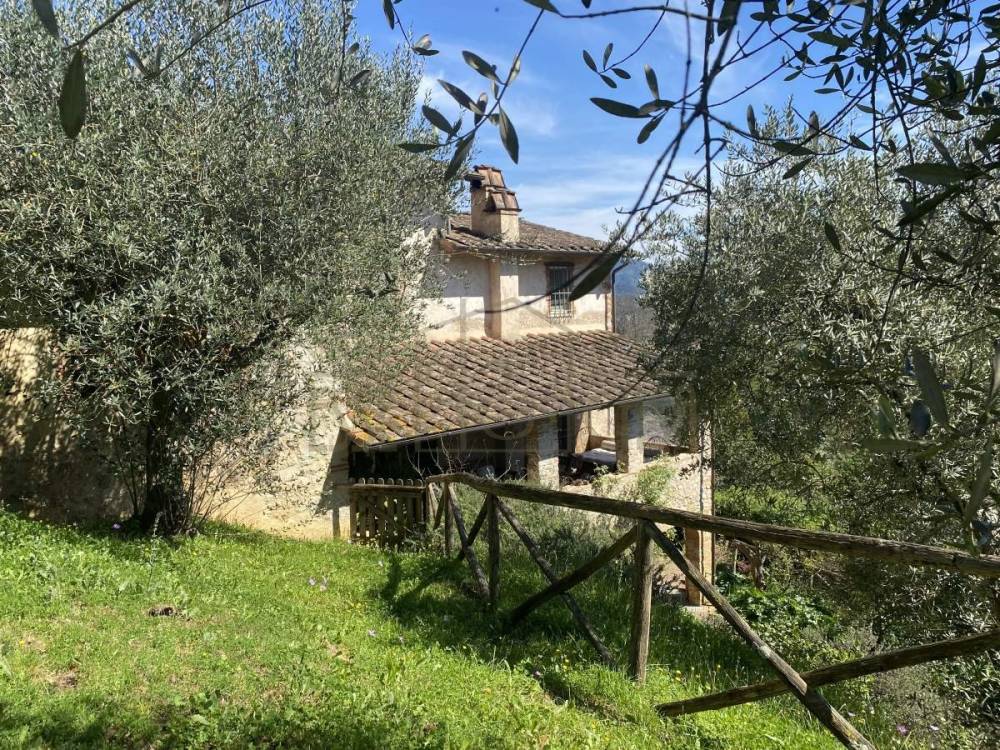 immagine annuncio 10 di 13