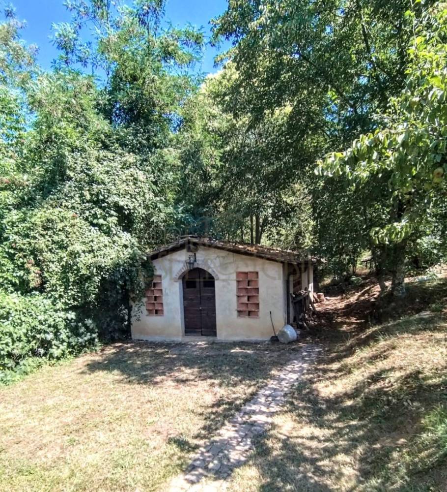 immagine annuncio 11 di 13