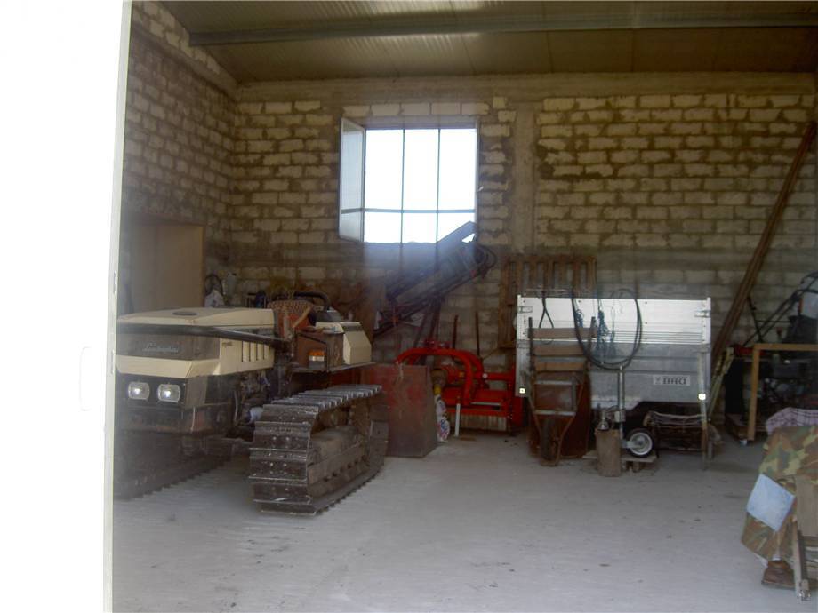 immagine annuncio 9 di 13