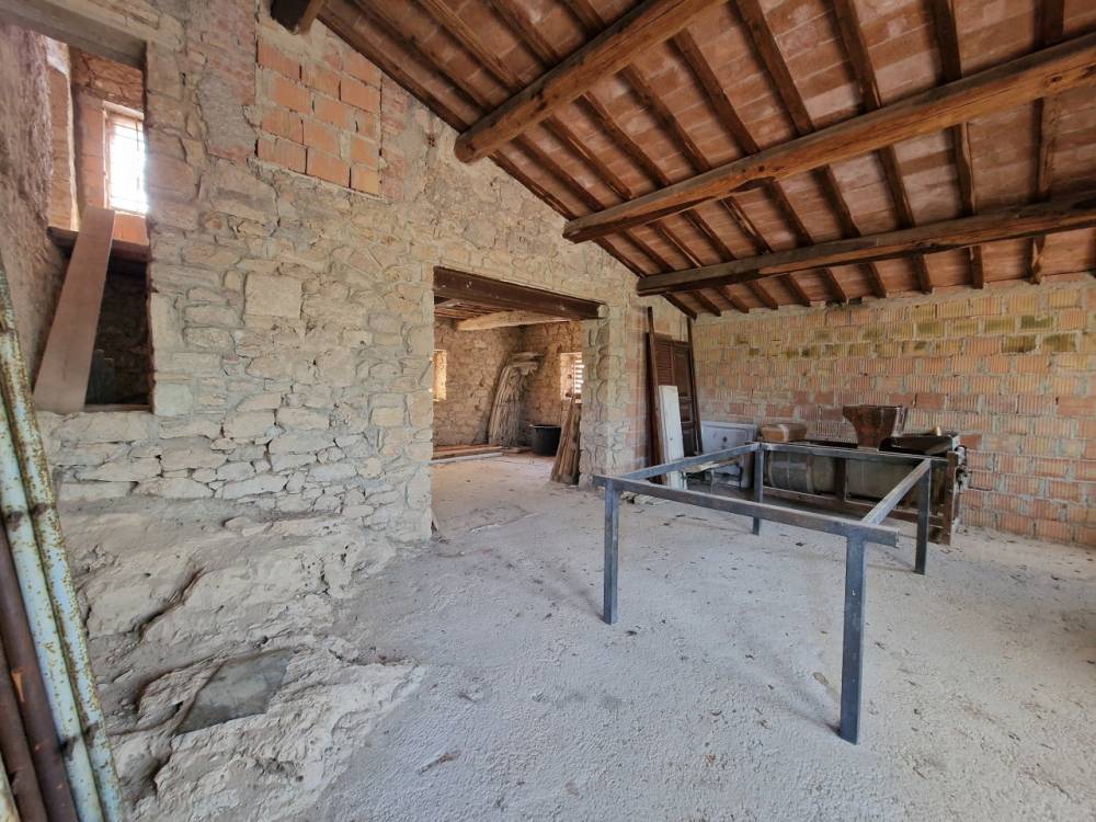 immagine annuncio 9 di 13