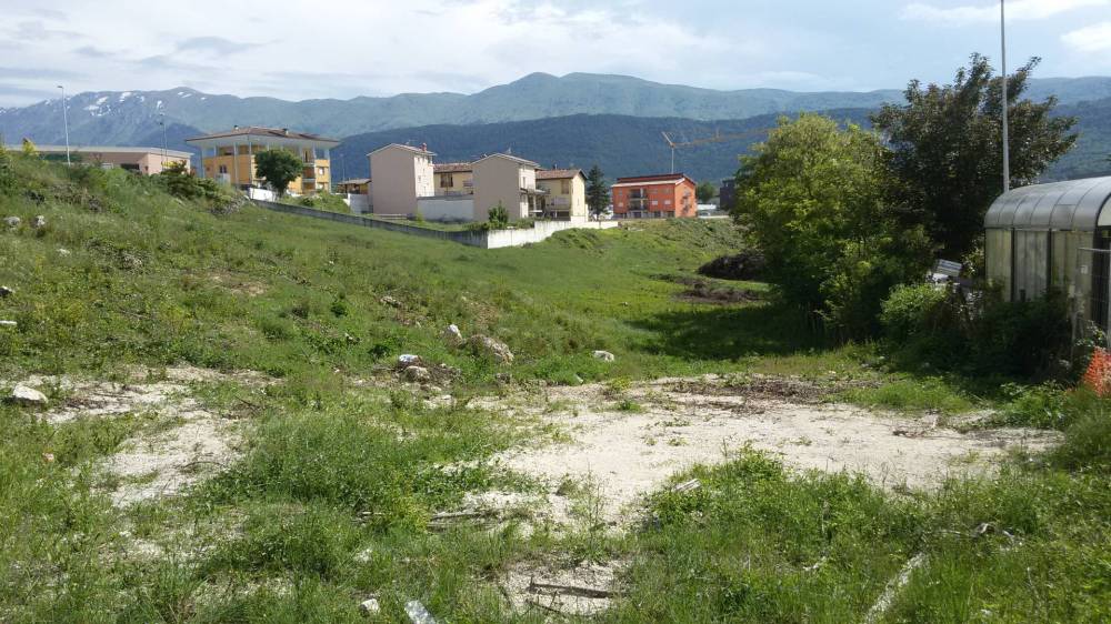 immagine annuncio 3 di 6