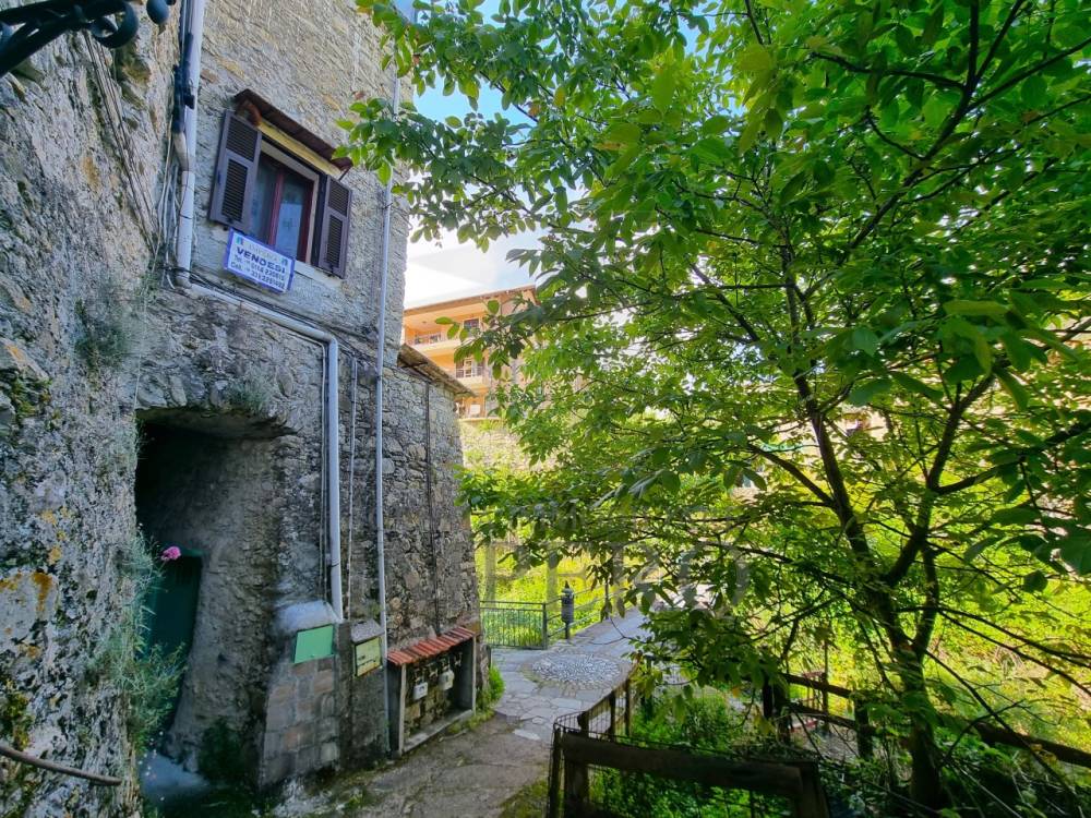 immagine annuncio 2 di 13