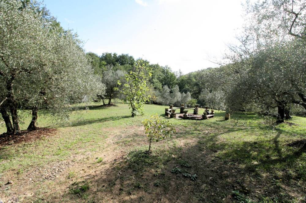 immagine annuncio 11 di 13
