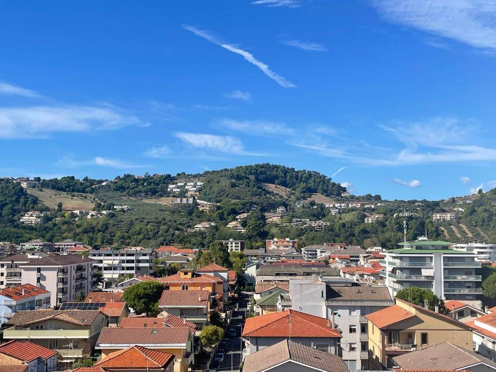 immagine annuncio 10 di 13