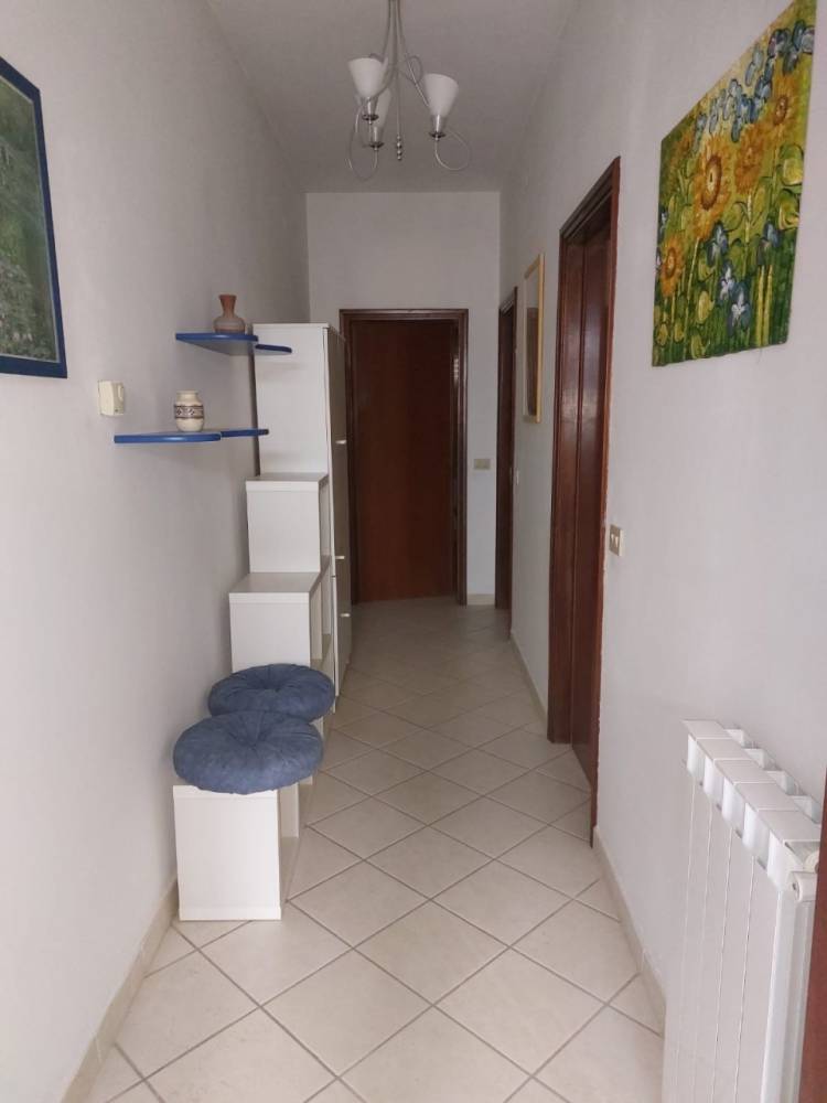 immagine annuncio 4 di 13