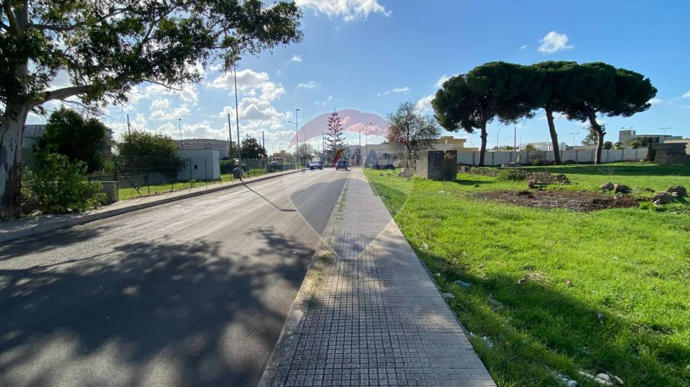 immagine annuncio 3 di 13
