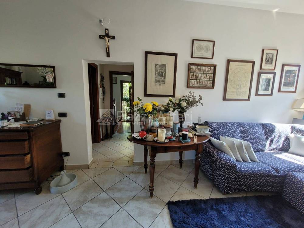 immagine annuncio 7 di 13