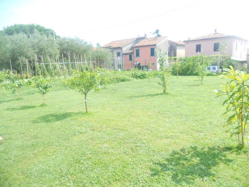 immagine annuncio 3 di 13
