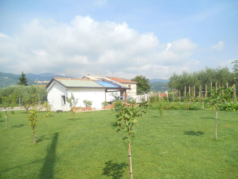 immagine annuncio 6 di 13