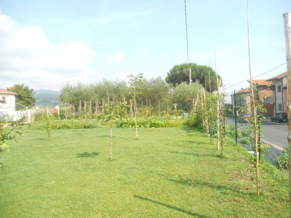 immagine annuncio 7 di 13