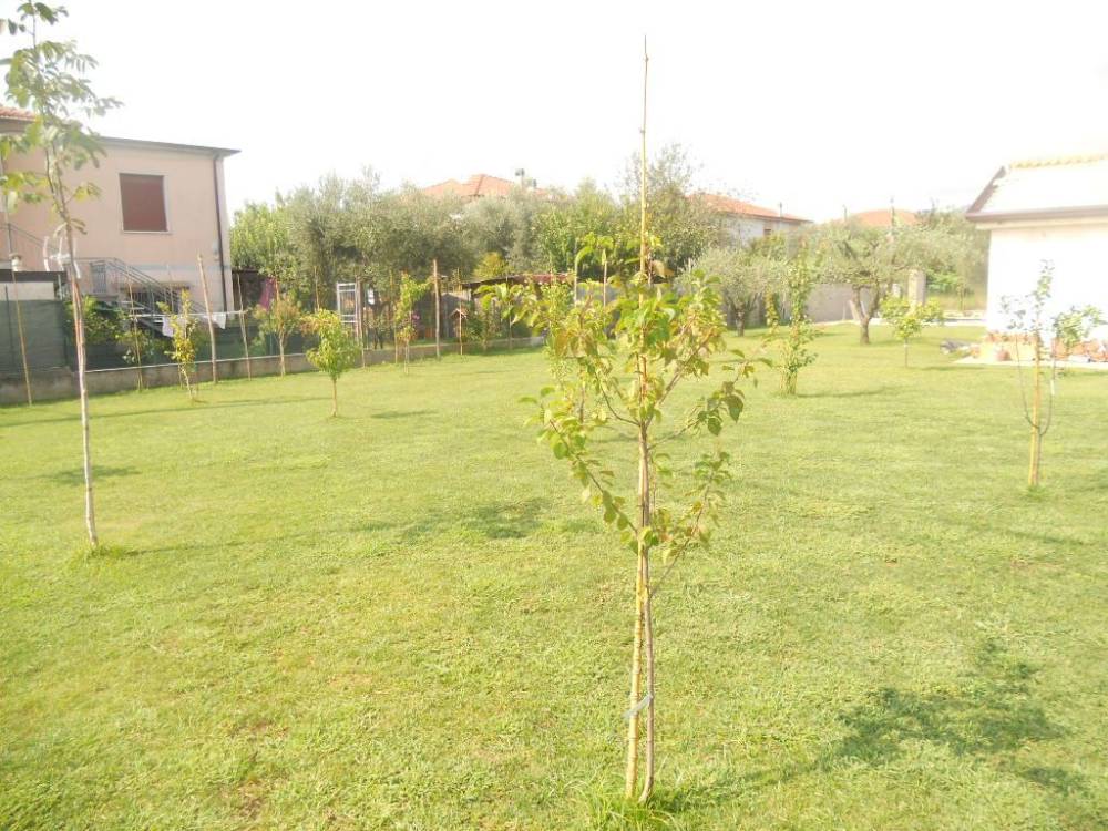 immagine annuncio 10 di 13