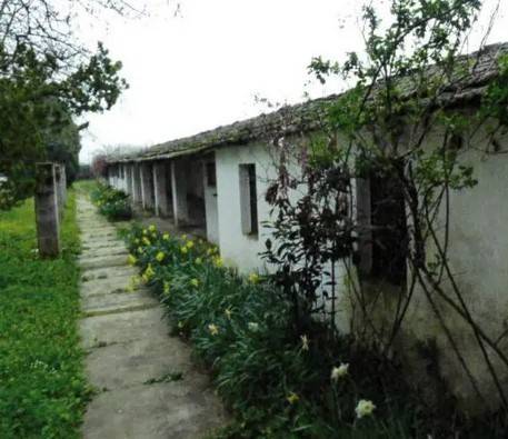 immagine annuncio 8 di 9