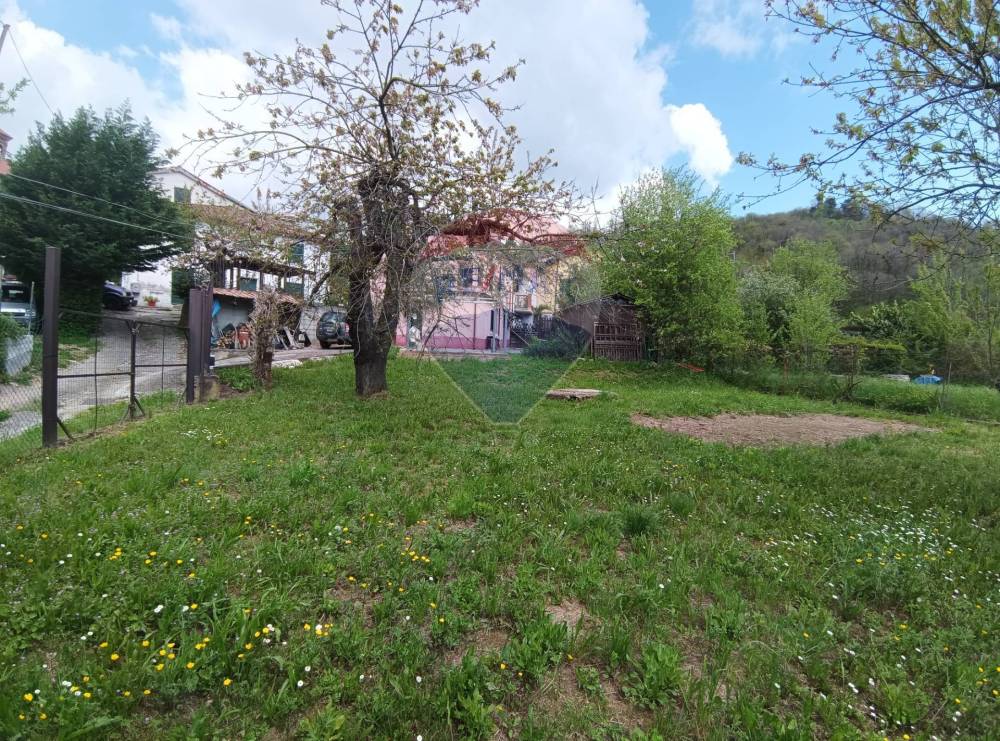 immagine annuncio 1 di 13