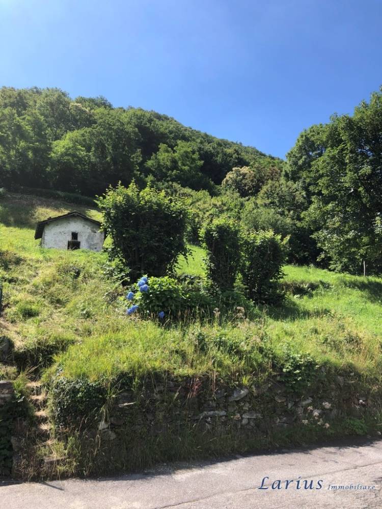 immagine annuncio 3 di 8