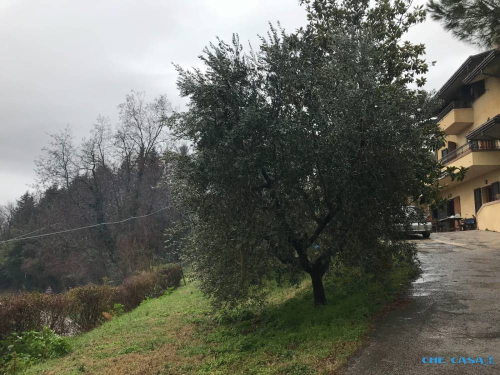immagine annuncio 8 di 9