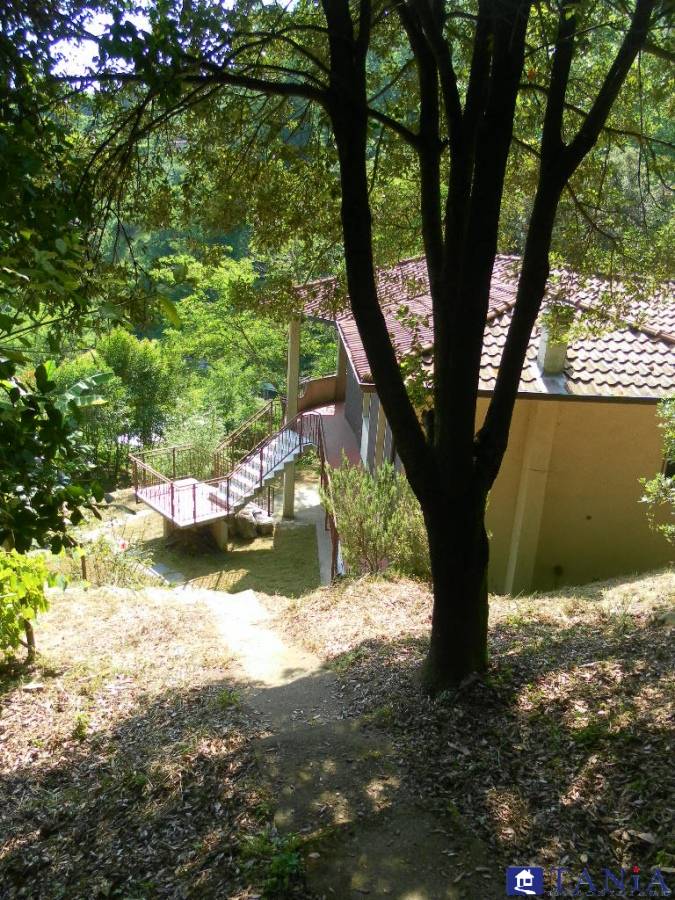 immagine annuncio 4 di 9