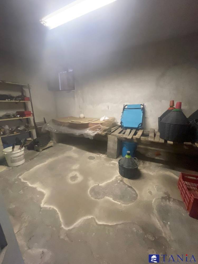 immagine annuncio 5 di 9