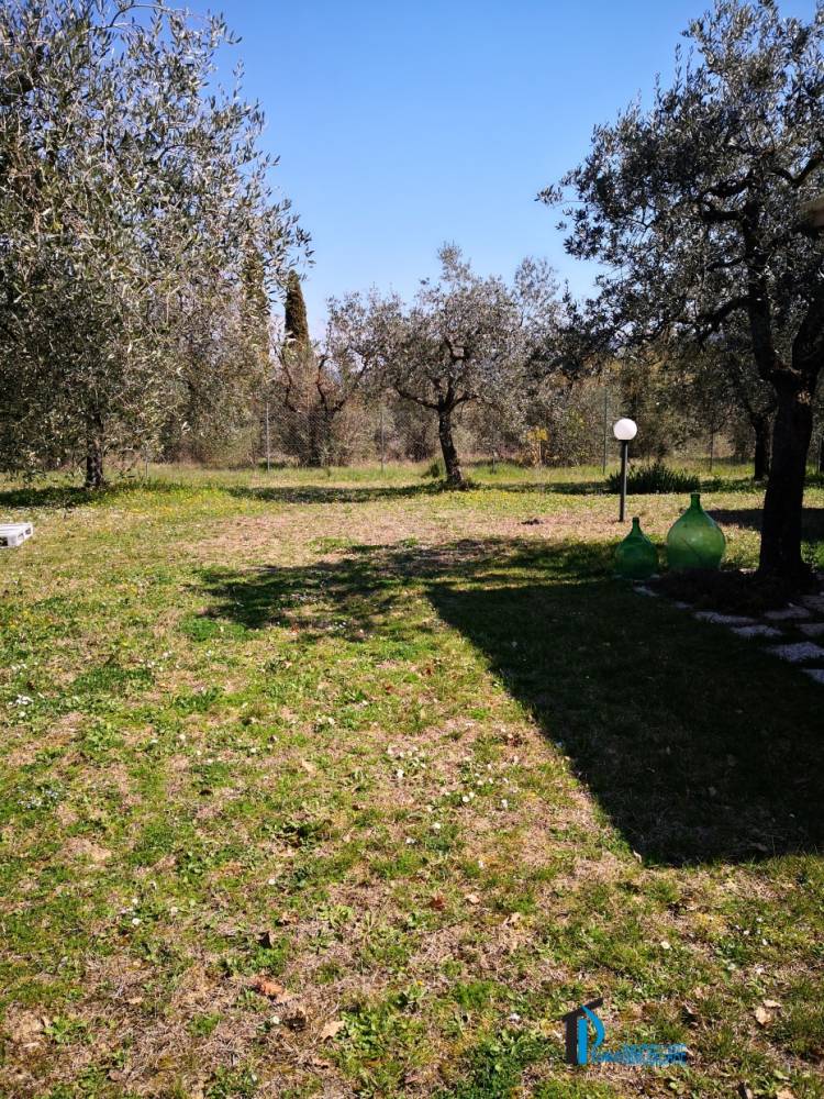 immagine annuncio 1 di 2