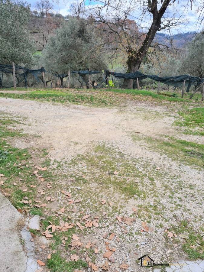 immagine annuncio 6 di 8