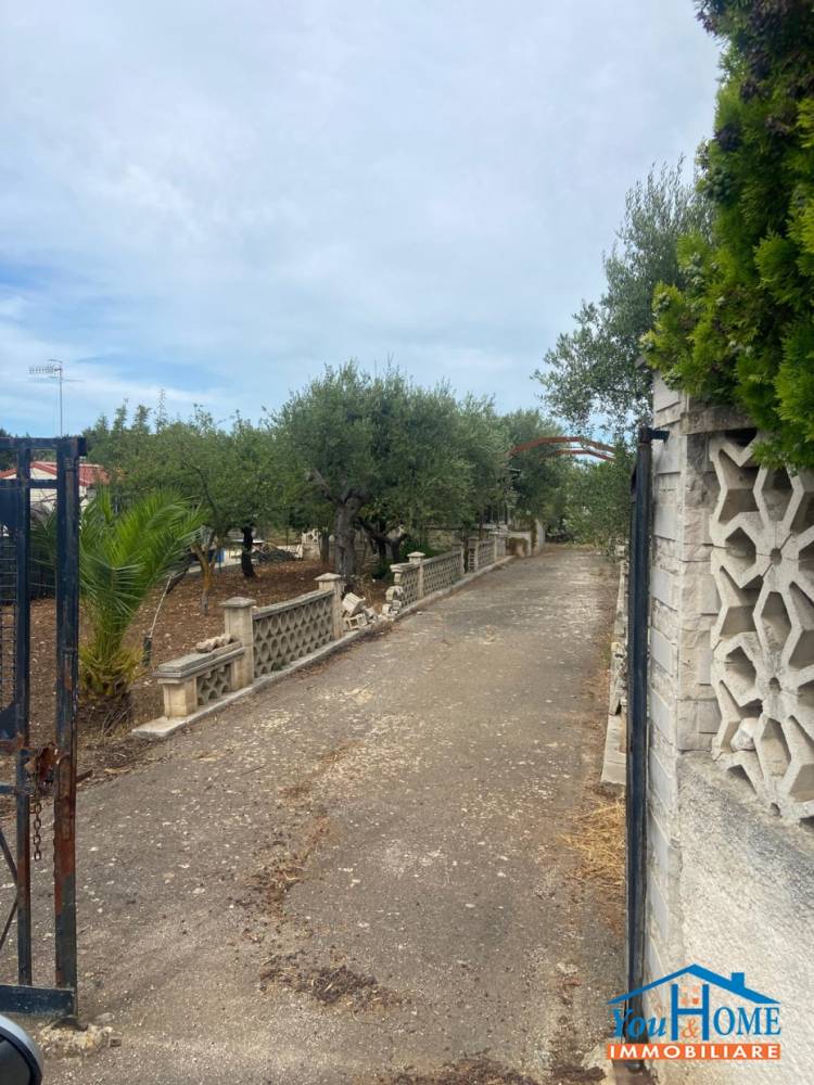 immagine annuncio 3 di 8