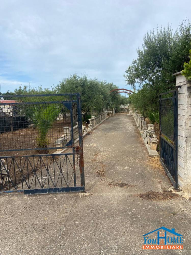 immagine annuncio 5 di 8