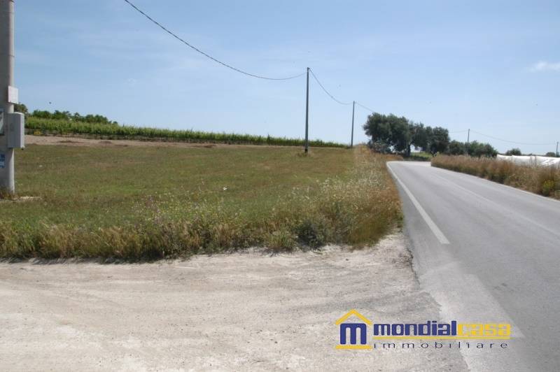 immagine annuncio 6 di 9