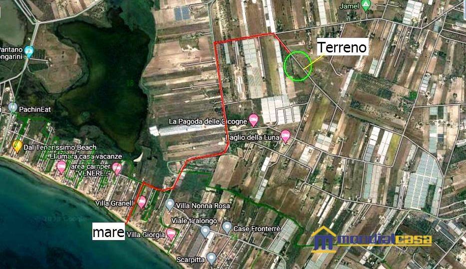 immagine annuncio 2 di 3
