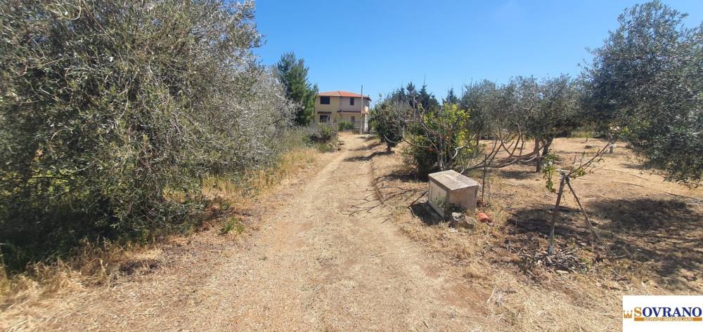 immagine annuncio 3 di 9