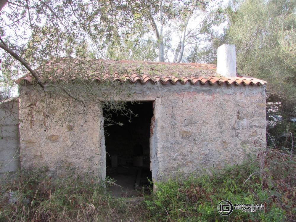 immagine annuncio 3 di 8