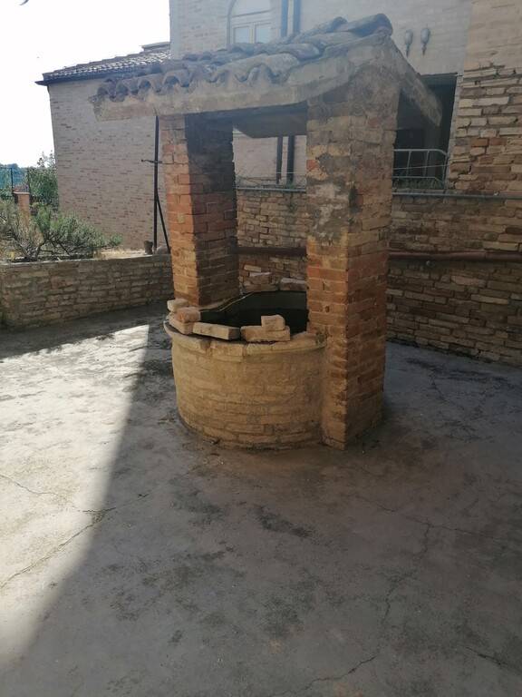 immagine annuncio 10 di 14