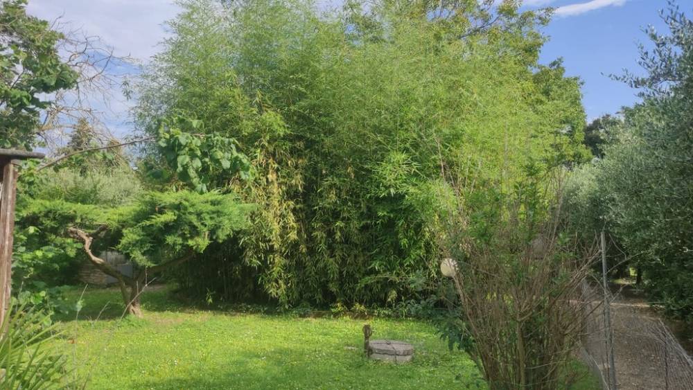 immagine annuncio 5 di 14