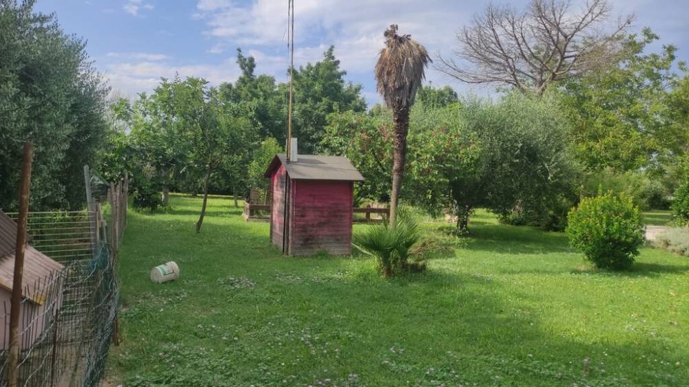 immagine annuncio 7 di 14