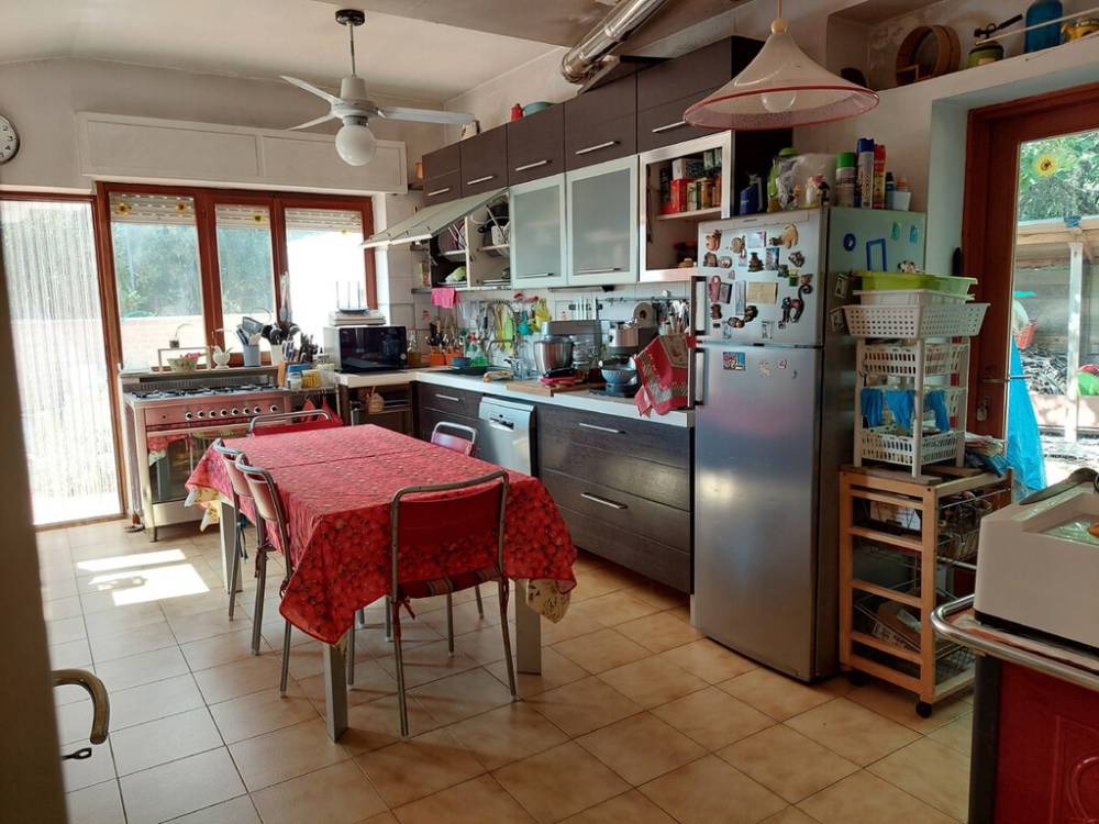 immagine annuncio 4 di 8