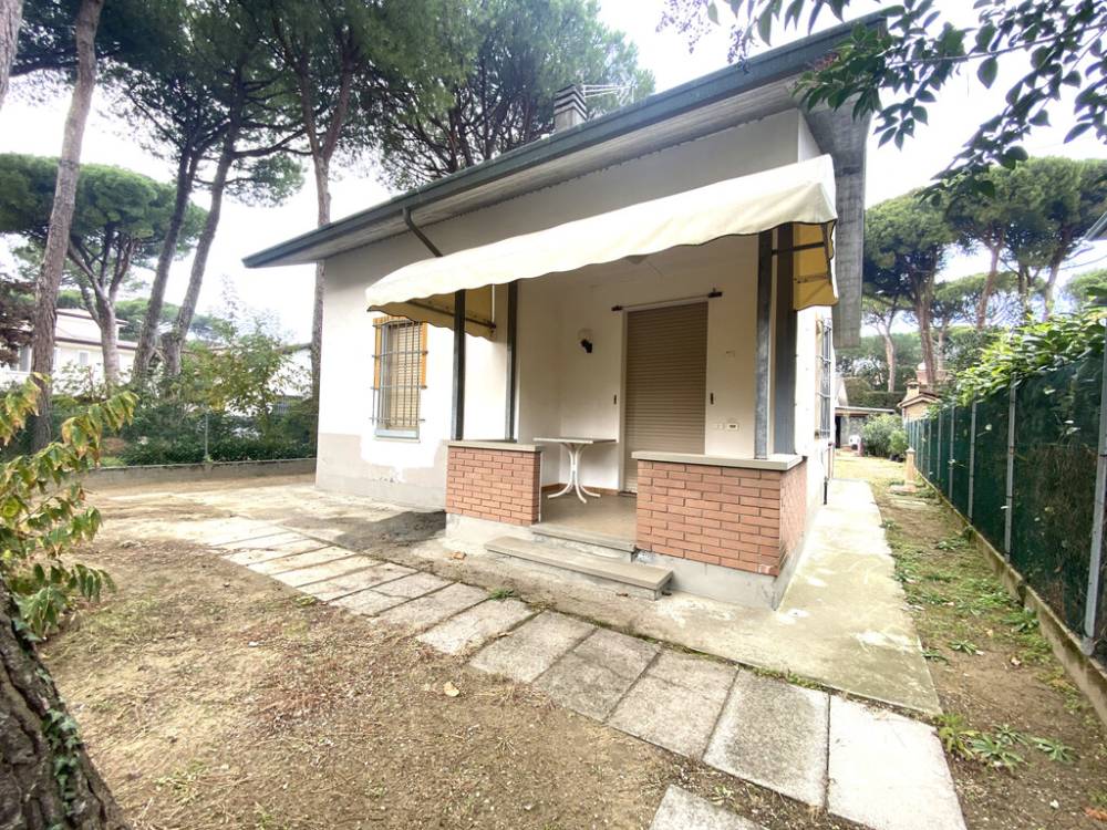 immagine annuncio 1 di 14