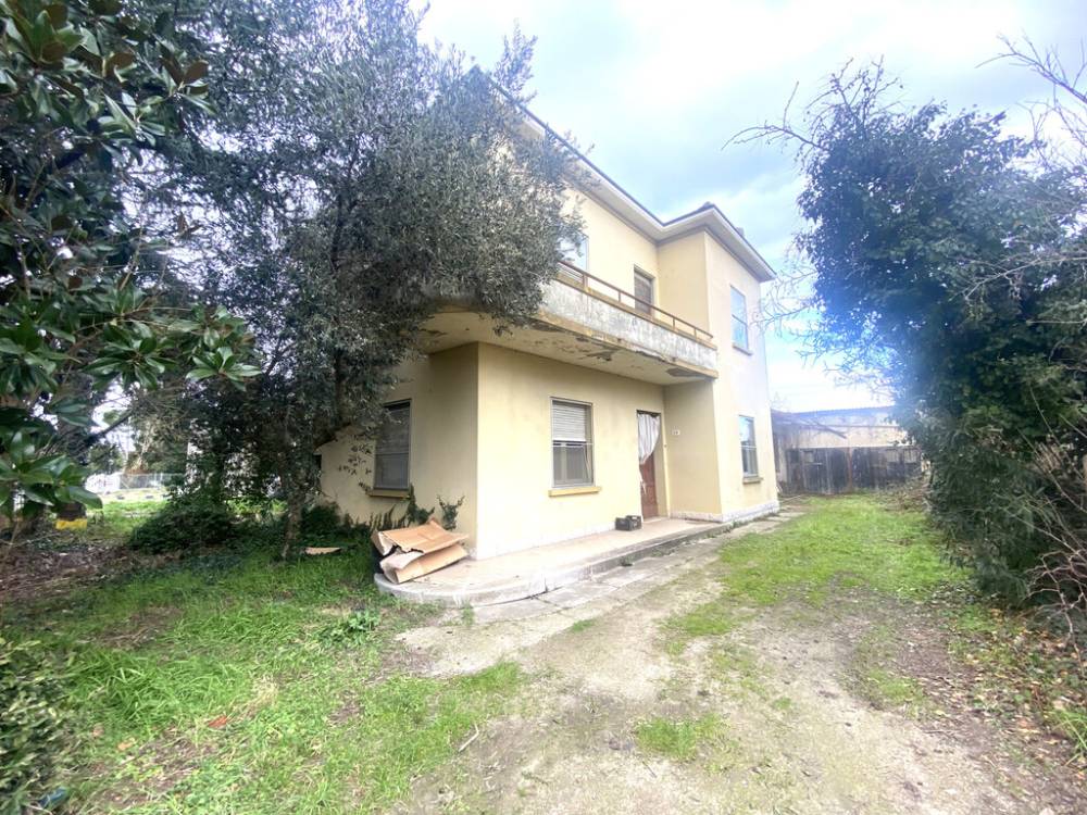 immagine annuncio 11 di 13