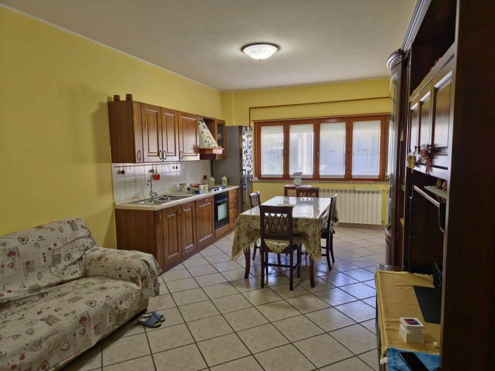immagine annuncio 4 di 13