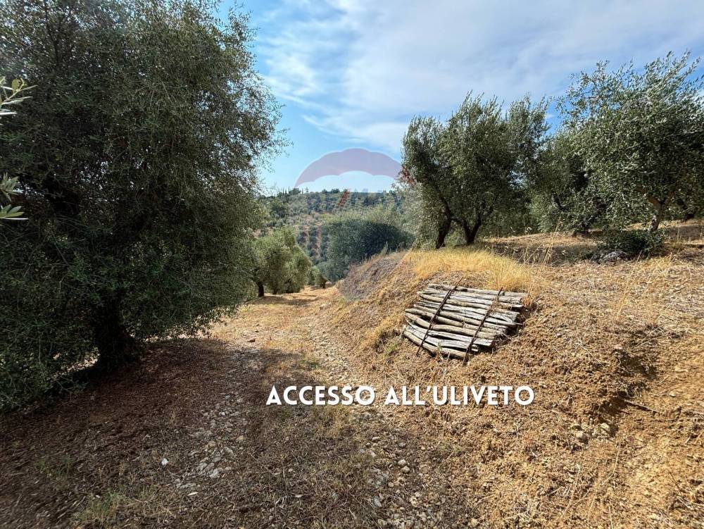 immagine annuncio 4 di 7