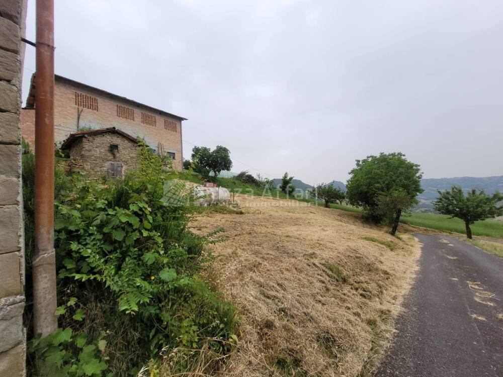immagine annuncio 3 di 8