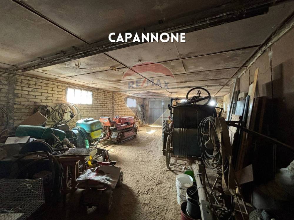 immagine annuncio 6 di 13