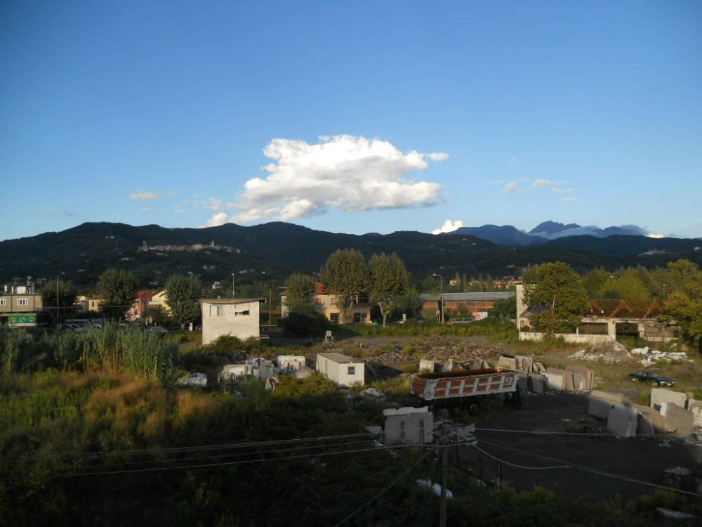 immagine annuncio 2 di 13