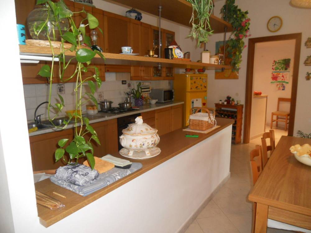 immagine annuncio 9 di 13